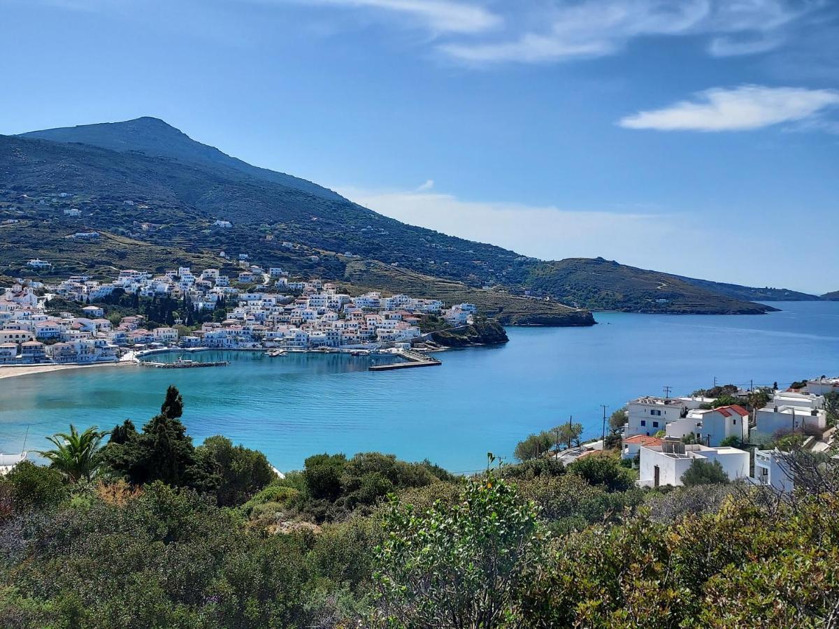 Villa Arni Andros - Βίλα Αρνη Batsi  Luaran gambar