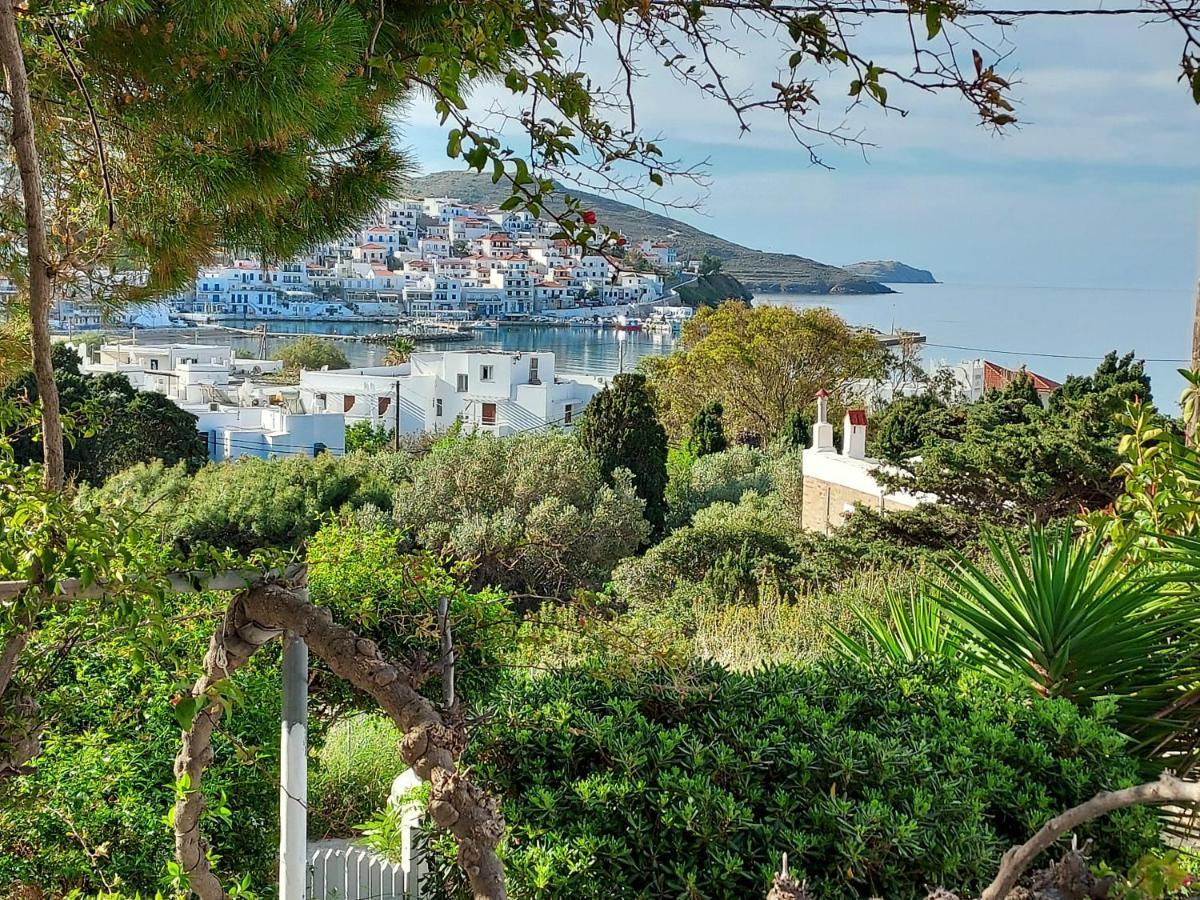 Villa Arni Andros - Βίλα Αρνη Batsi  Luaran gambar