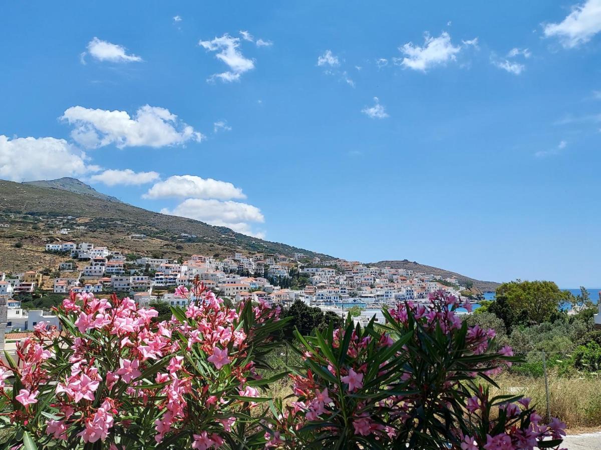 Villa Arni Andros - Βίλα Αρνη Batsi  Luaran gambar