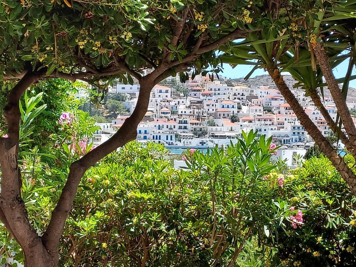 Villa Arni Andros - Βίλα Αρνη Batsi  Luaran gambar