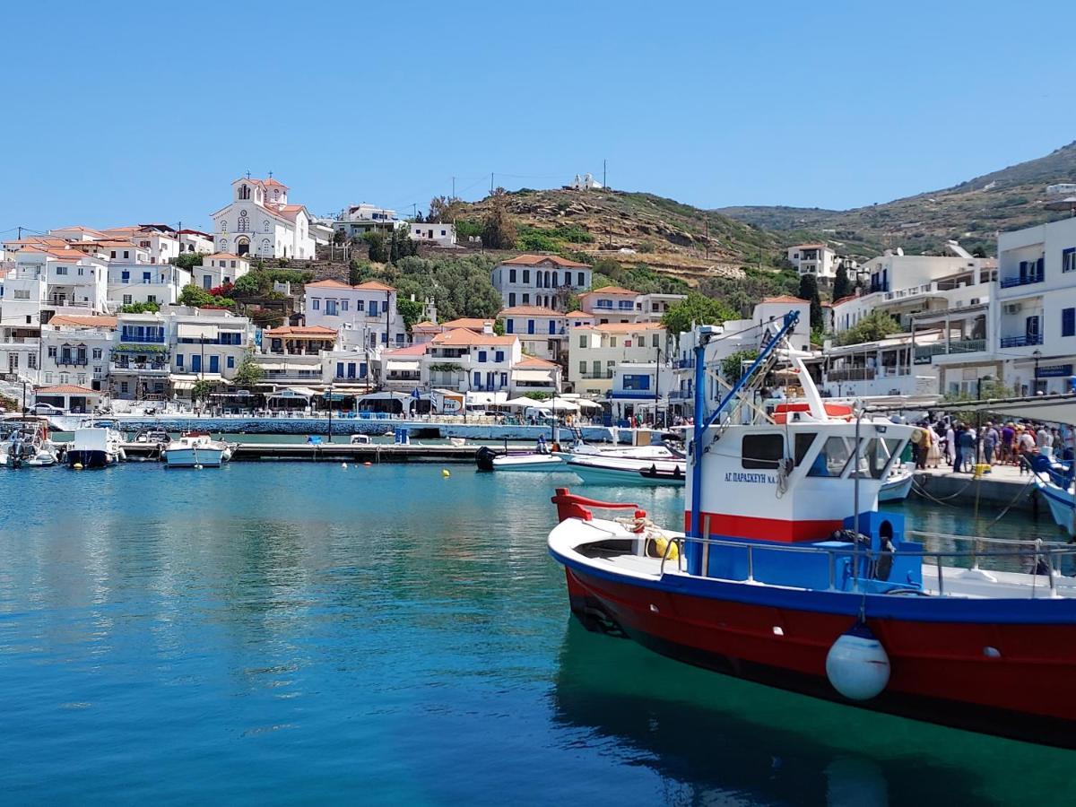 Villa Arni Andros - Βίλα Αρνη Batsi  Luaran gambar