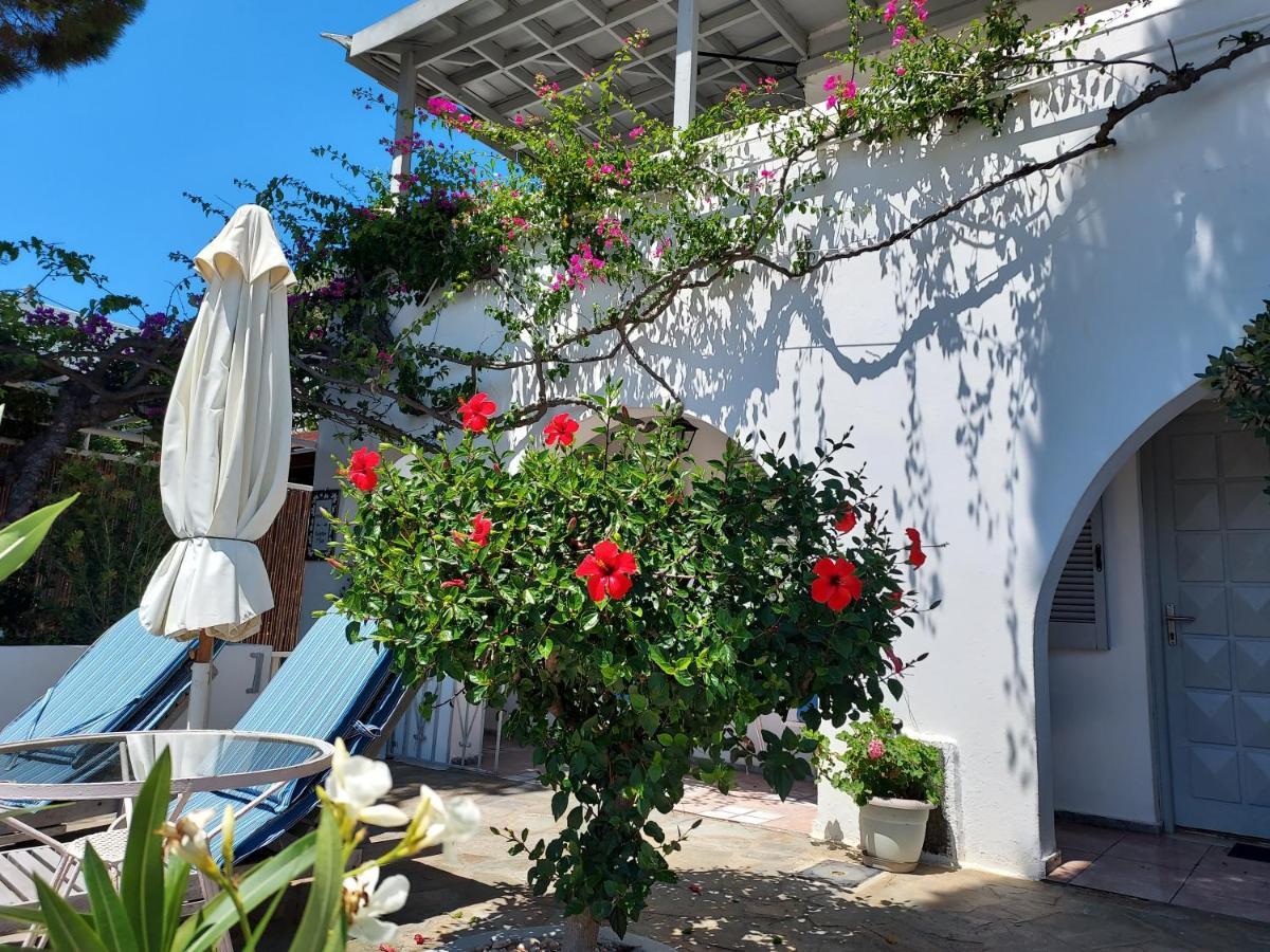 Villa Arni Andros - Βίλα Αρνη Batsi  Luaran gambar