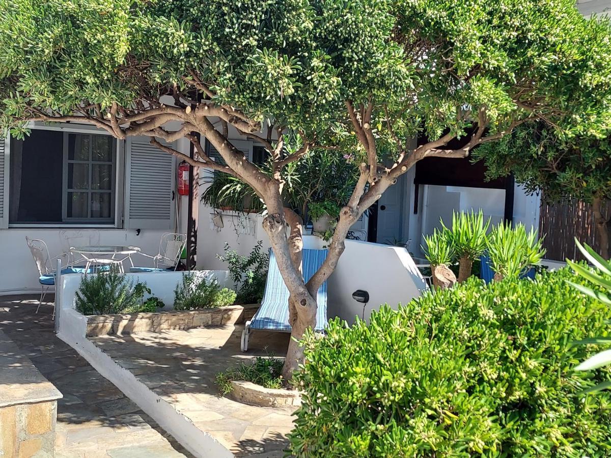 Villa Arni Andros - Βίλα Αρνη Batsi  Luaran gambar