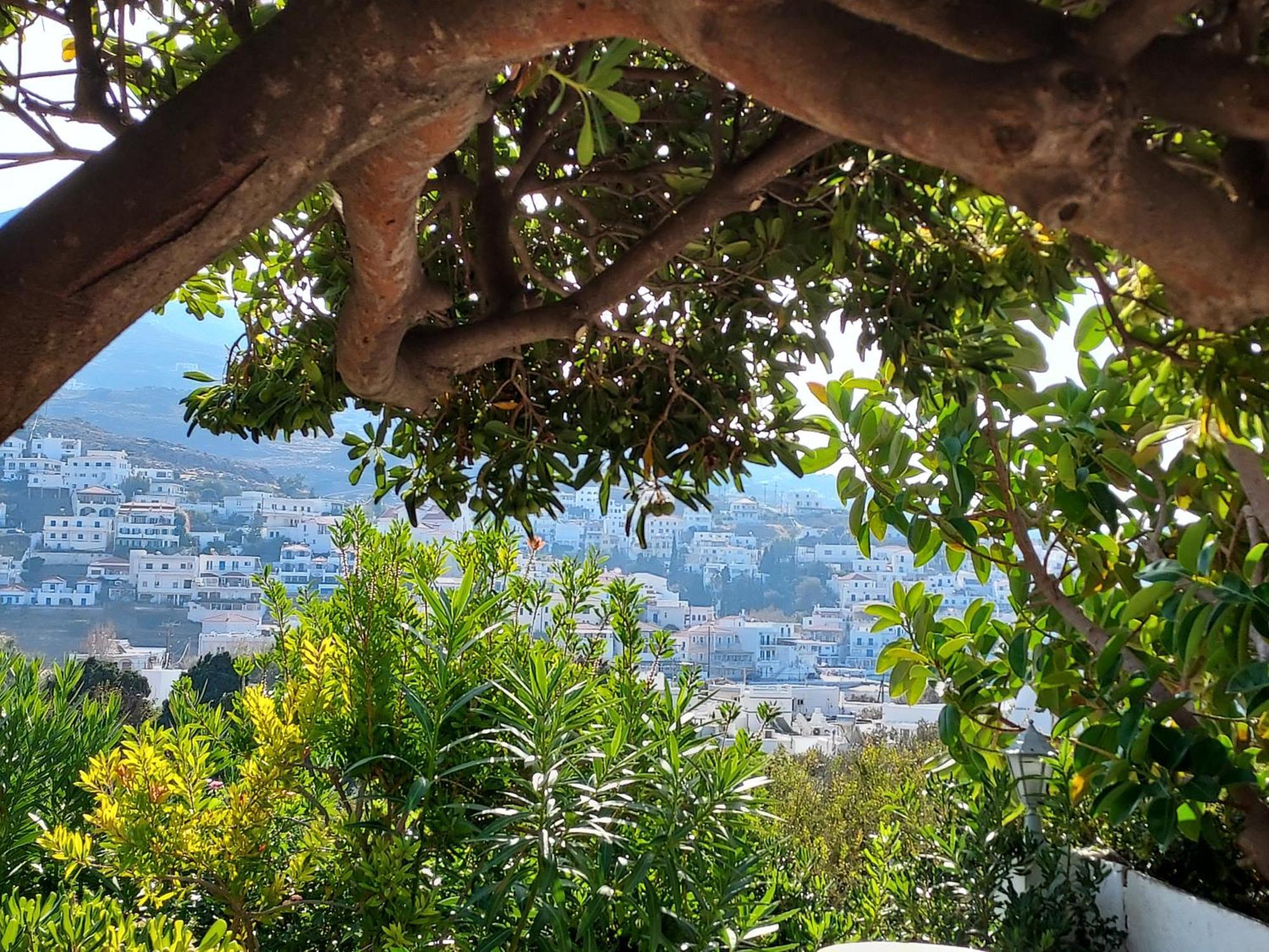 Villa Arni Andros - Βίλα Αρνη Batsi  Bilik gambar