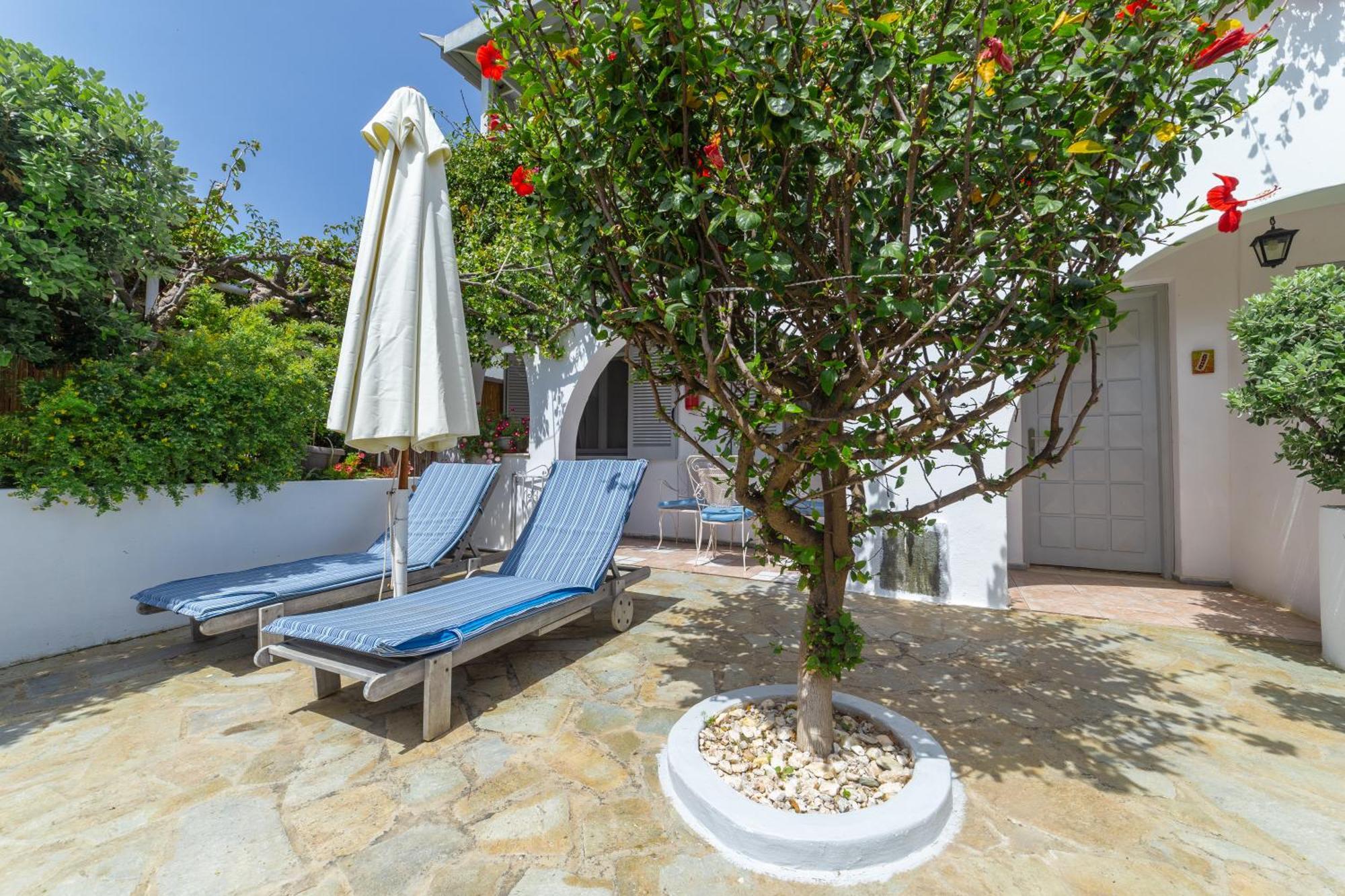 Villa Arni Andros - Βίλα Αρνη Batsi  Luaran gambar