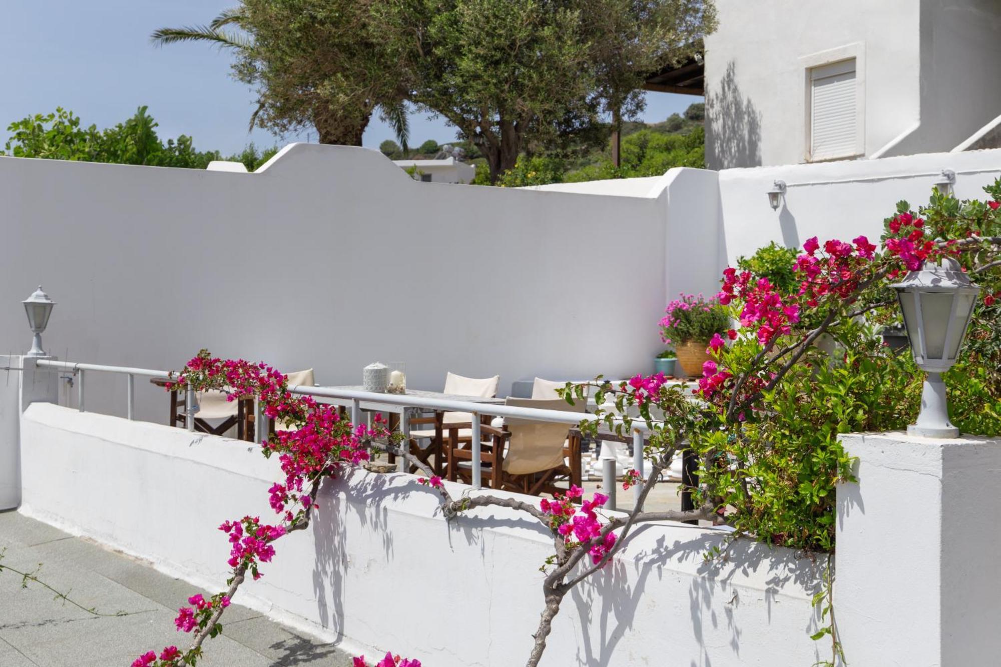 Villa Arni Andros - Βίλα Αρνη Batsi  Luaran gambar