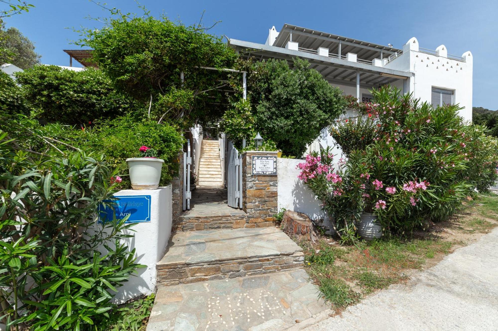 Villa Arni Andros - Βίλα Αρνη Batsi  Luaran gambar